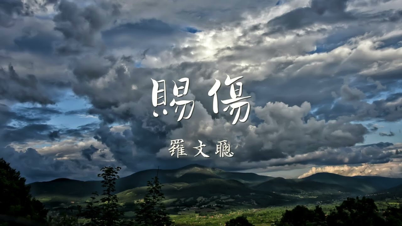 賜傷 / 羅文聰