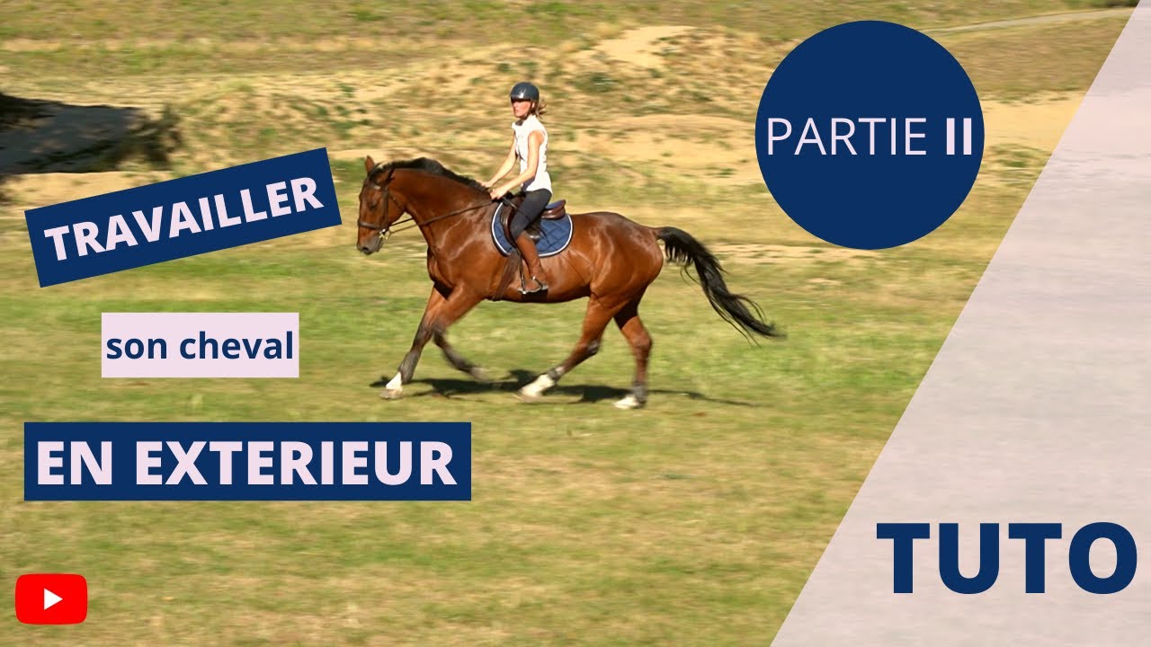 Travailler ton cheval en extérieur PARTIE 2