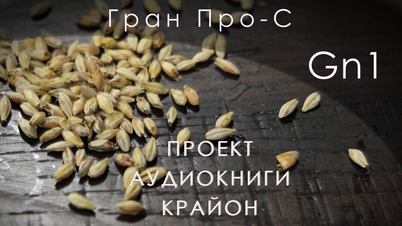 Gn1. Крайон. Нумерология 2016 12 10 Часть 1 / Lee Carroll KRYON | Метафизика
