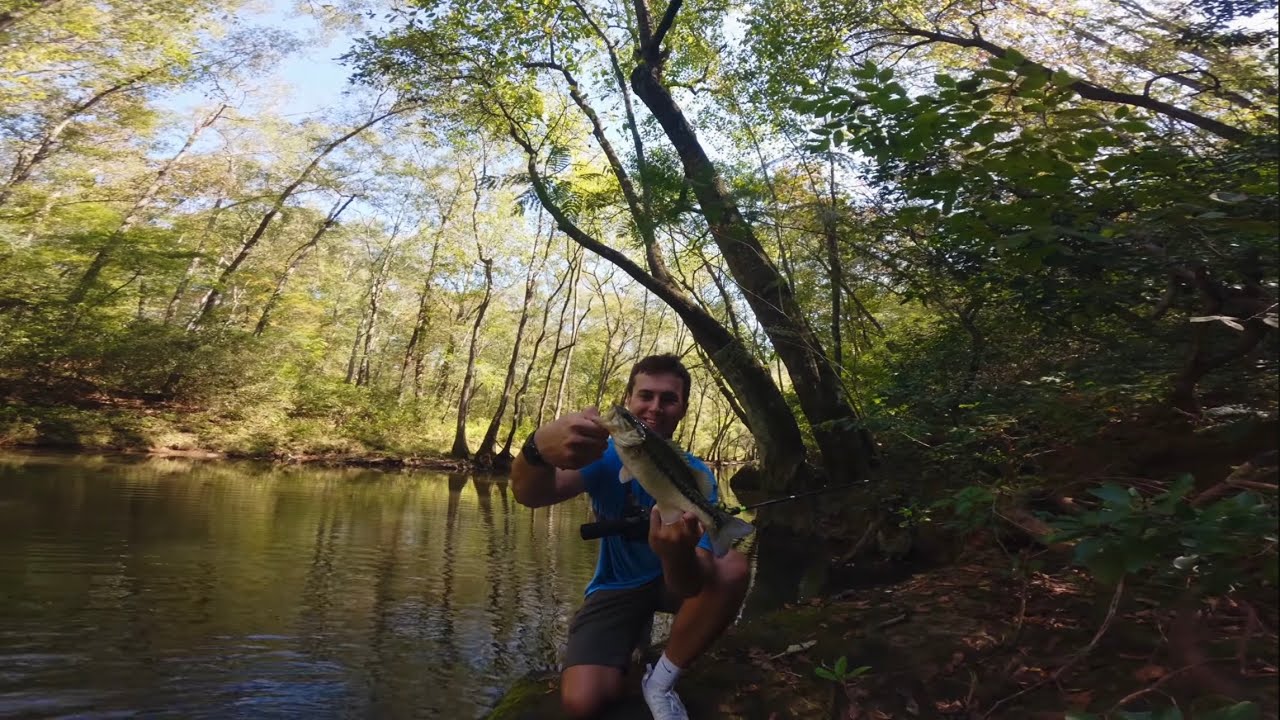Flowy Mountain Biking Trail with Beautiful Stream (Shred and Catch Episode 3)