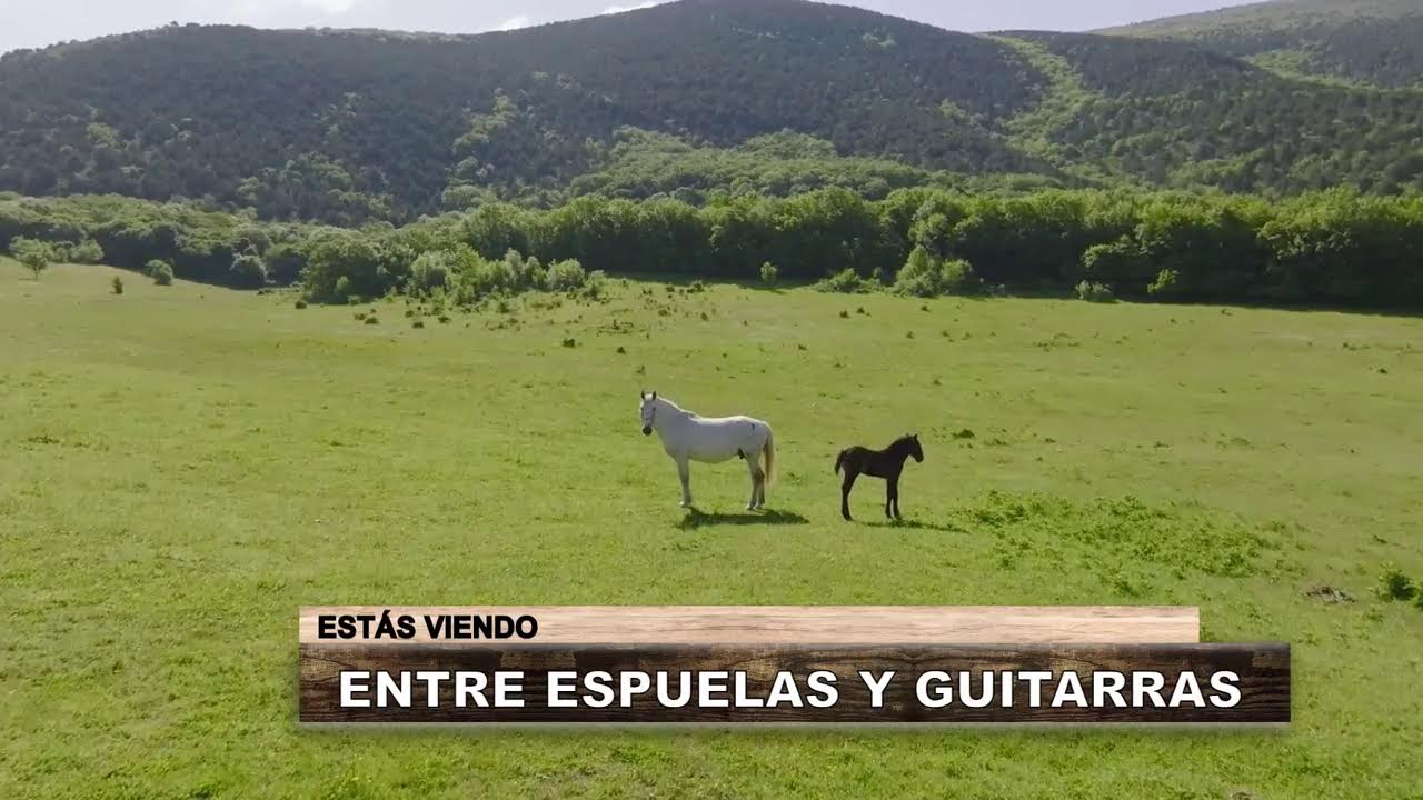 Entre Espuelas y Guitarras - VIVO