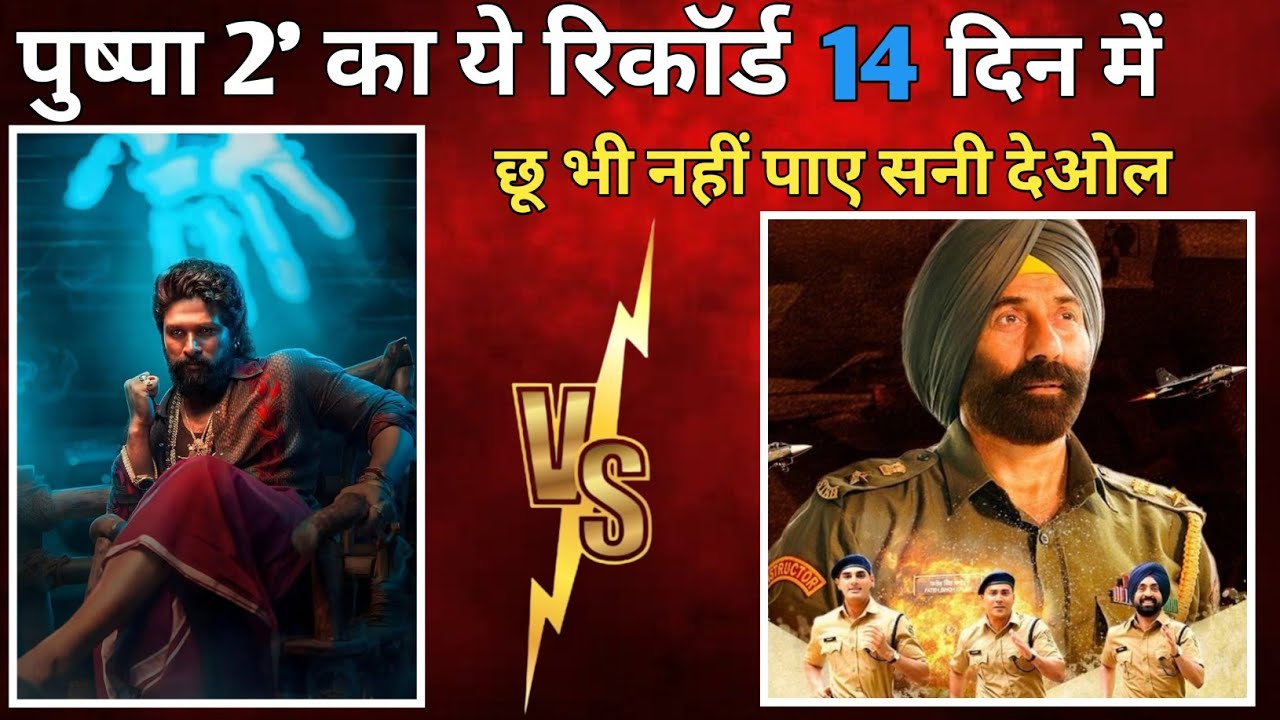Border 2 Collection Day 14 | Prabhas Pushpa 2 vs Border 2 14 Day Collection Sunny Deol Comparison