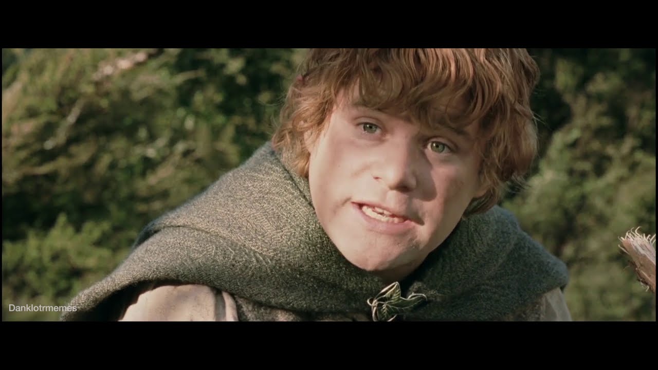 The Lord of the Rings trilogy but it's just the memes