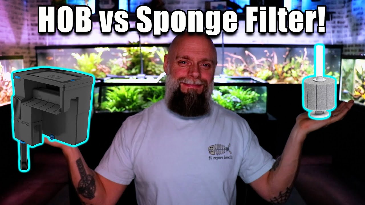 The Ultimate Fish Tank Filter Showdown! HOB Filter vs Sponge Filter