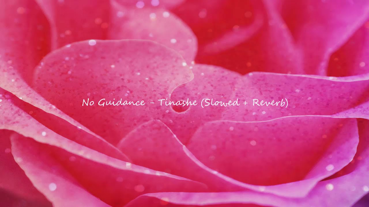 No Guidance - Tinashe (Slowed & Reverb)