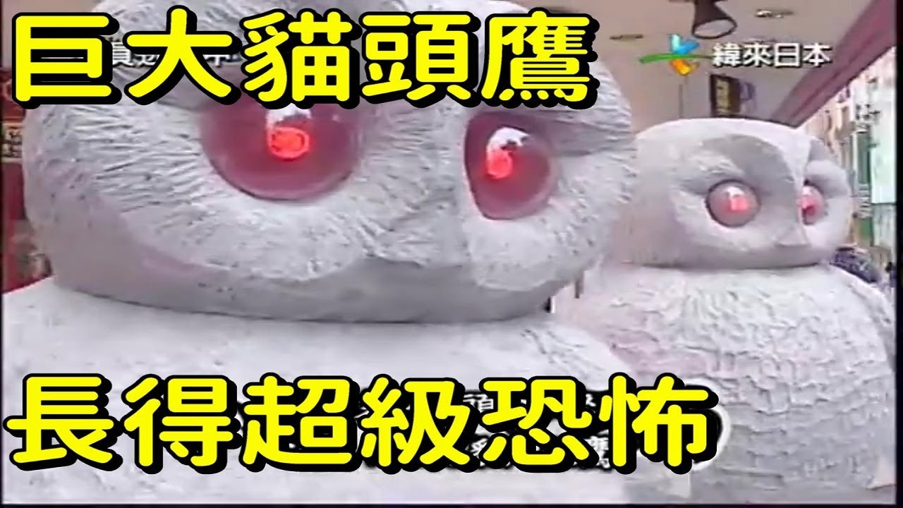 巨大貓頭鷹任務！？田中卓志初登場，回顧逃走中第10集｜全員逃走中第十集｜RUN FOR MONEY | 波波尼