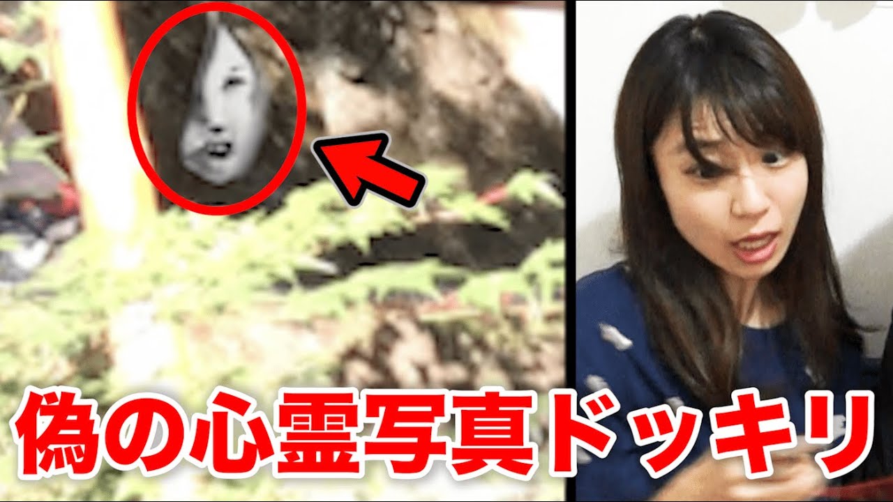 嫁の写真に幽霊が映り込んでいたら