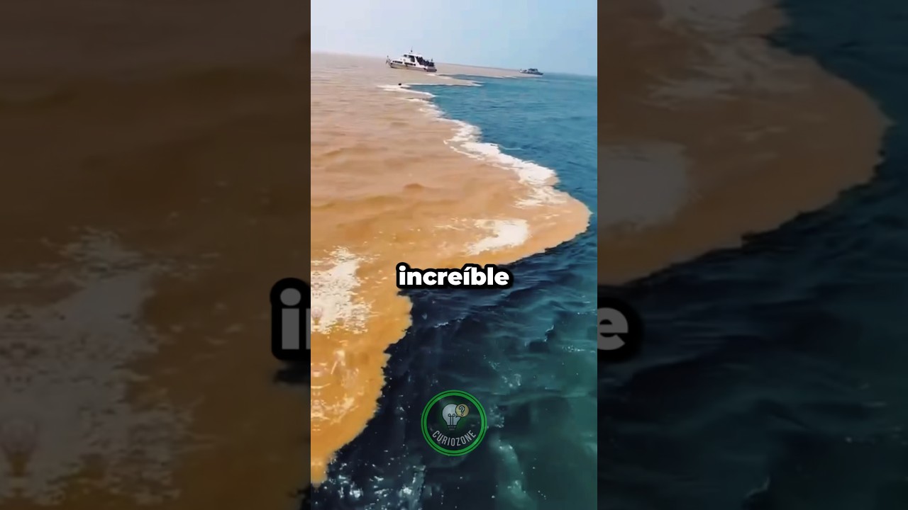 Porque el oc&eacute;ano atl&aacute;ntico NO se mezcla con el oc&eacute;ano pac&iacute;fico 🌊🤯 #curiosidades #datosinteresantes