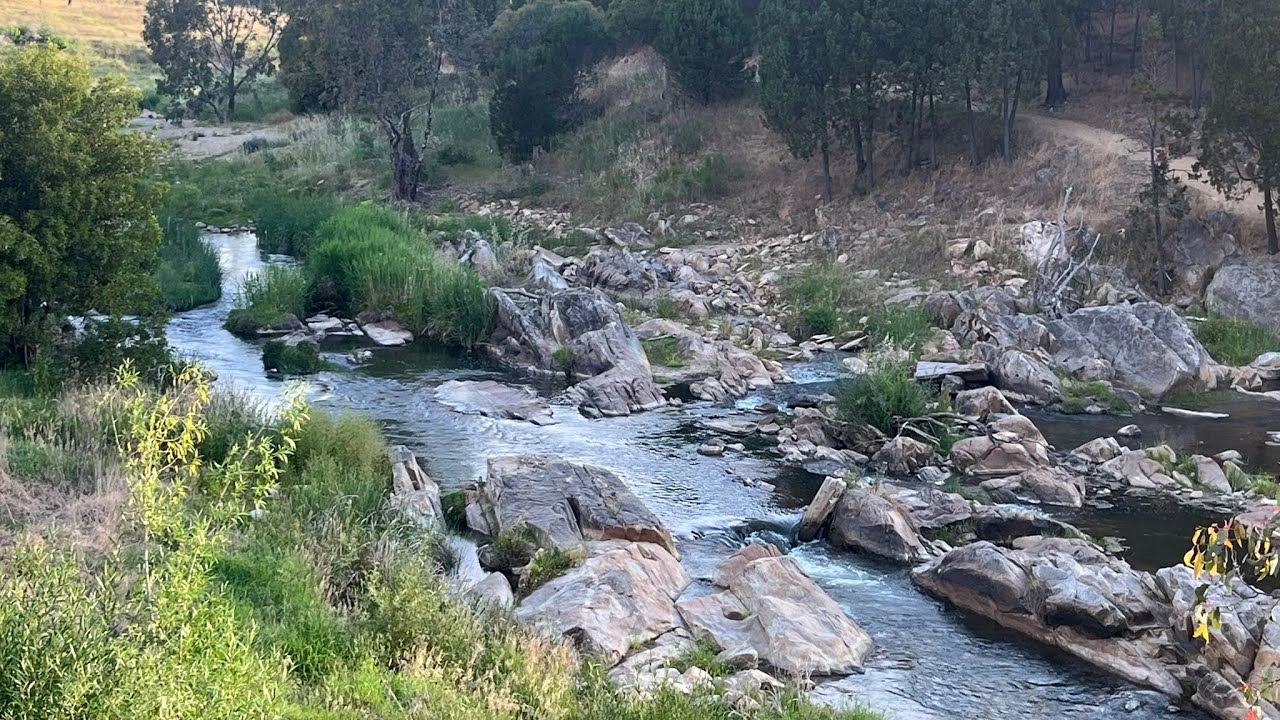 A trip to Adelong chasing gold!!