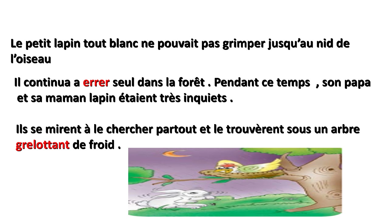 le petit lapin tout blanc  (6ème année )