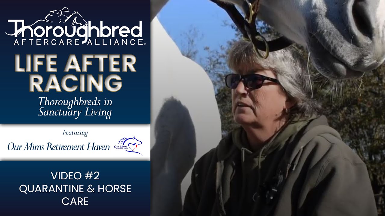 Life After Racing – Our Mims – Video 2: Quarantine & Horse Care