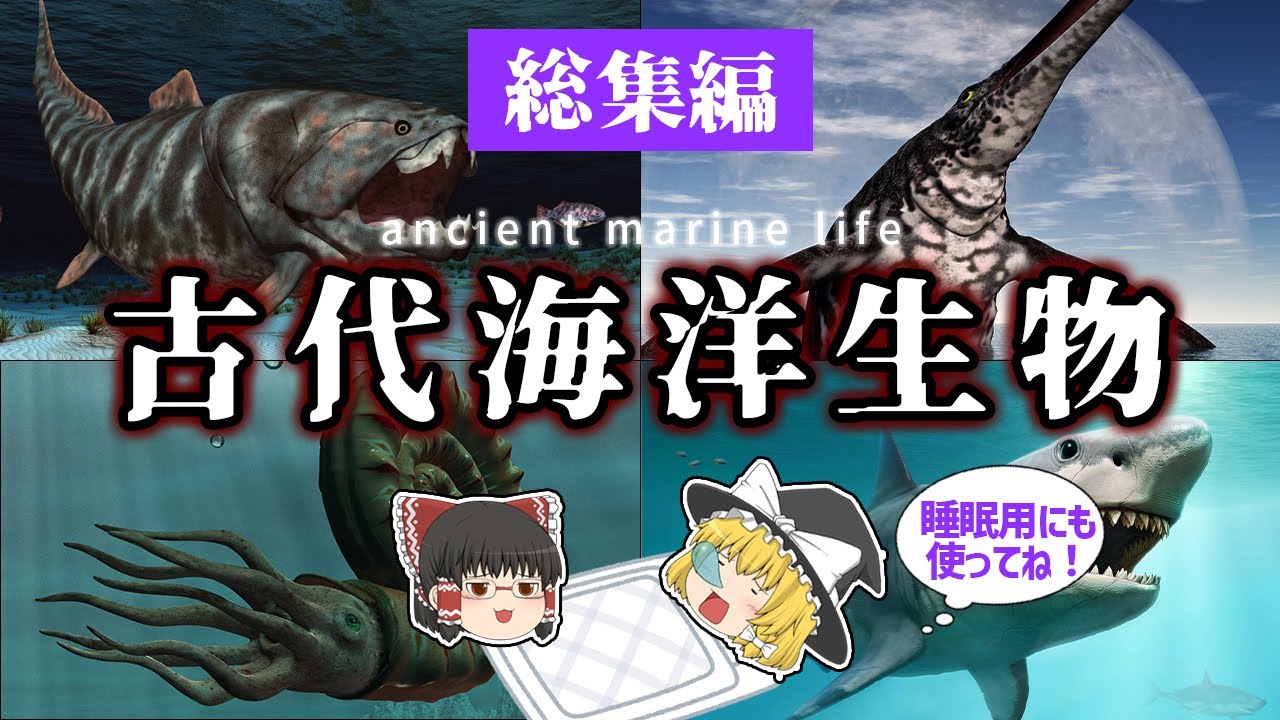 【睡眠用・ゆっくり解説】古代の海に潜む、海洋生物たち①【広告最初のみ　途中広告なし】