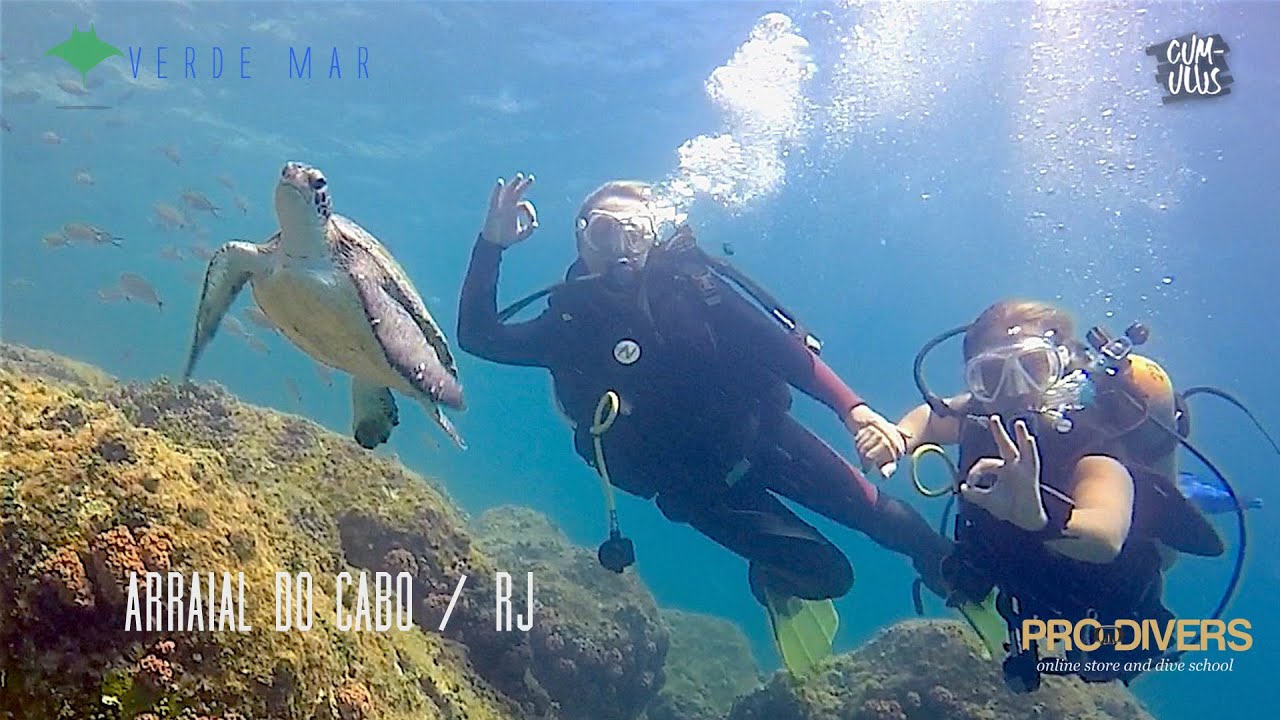 Scuba Diving Arraial do Cabo - Tartarugas, Frades, Moreias e águas claras