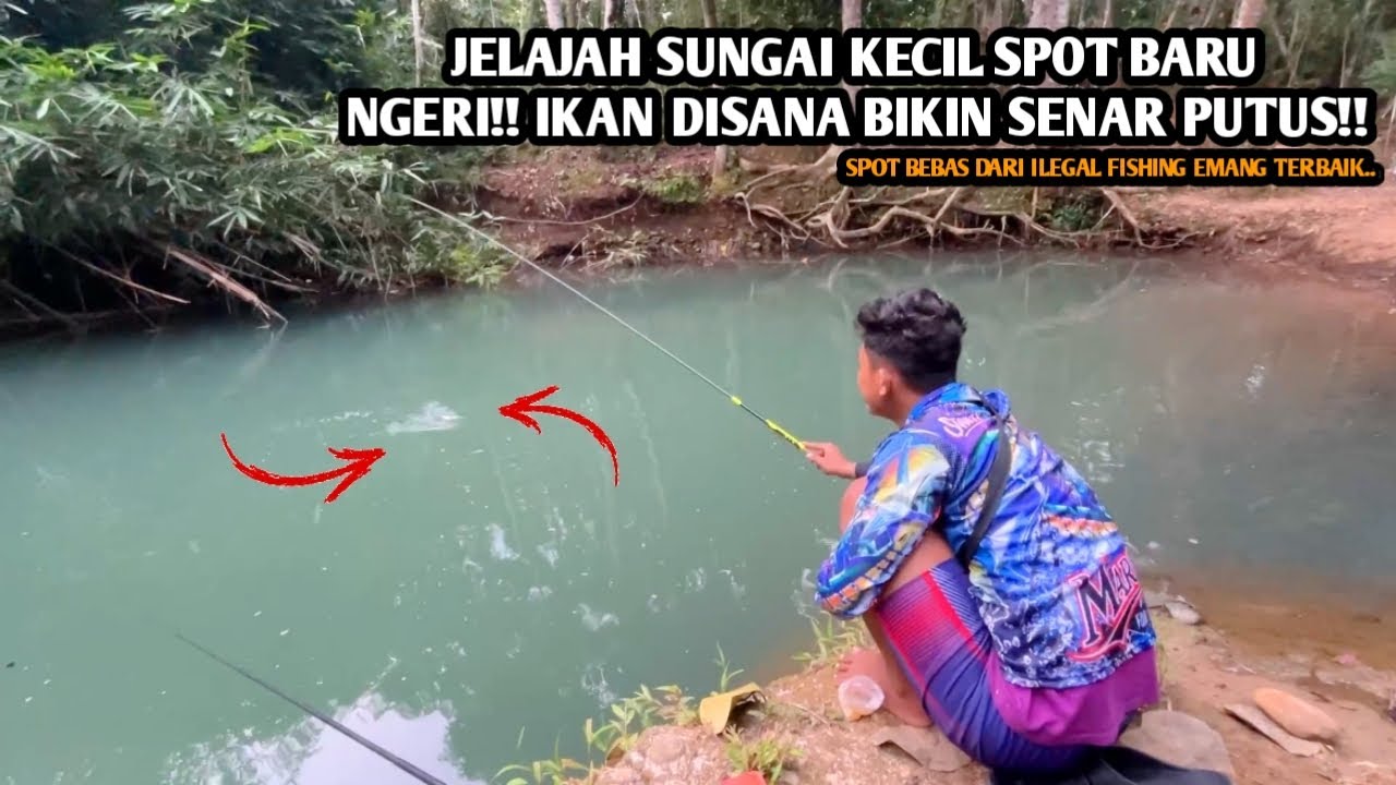 SUNGAI KECIL IKANNYA BABON2 BIKIN SENAR PUTUS!! Mancing wader pakai teknik kumbul umpan pelet instan