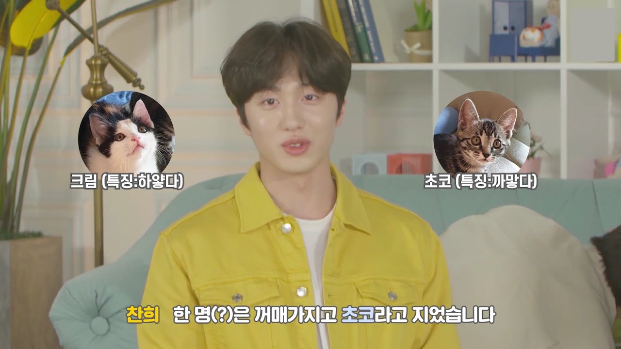 [SF9/찬희] 찬희와 동물 친구들