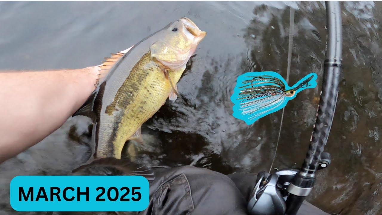 SEARCHING for ACTIVE MARCH BASS in MASSACHUSETTS