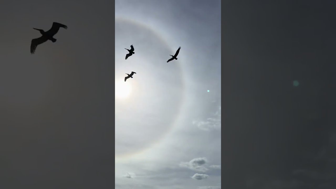 OPEN UP TO THE UNIVERSE. #video #universe 