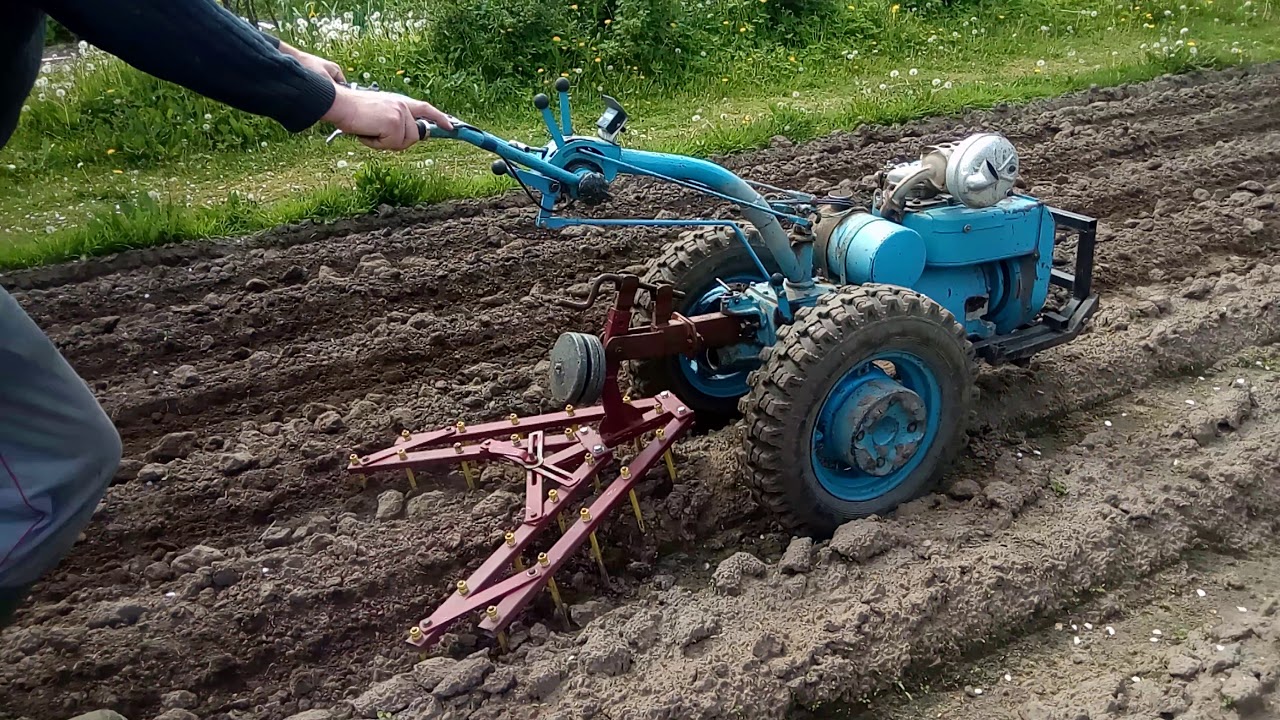 Боронование картофеля мотоблоком Мтз-12. (Сезон 2020).