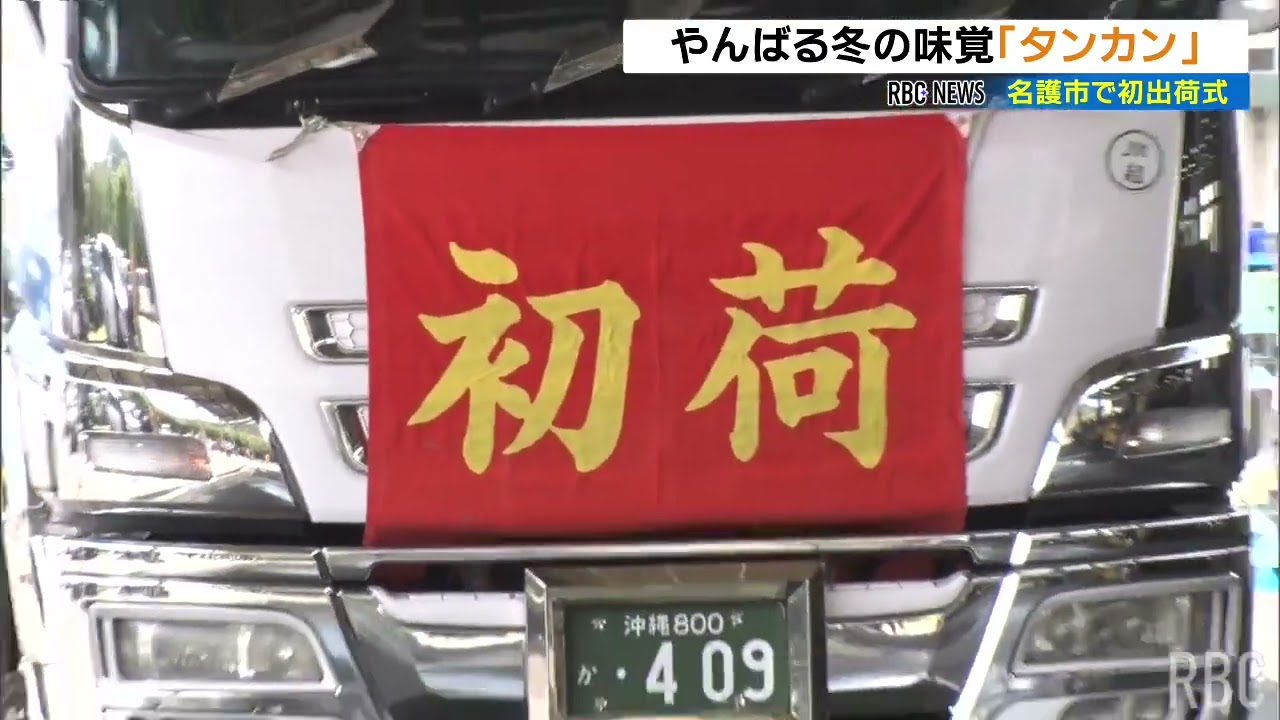 特産「タンカン」の初出荷式　名護市