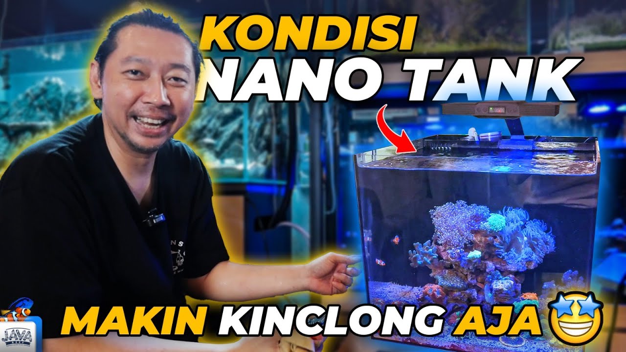UPDATE NANO TANK - KITA TEST PAR SPECTRA AQUA KNIGHT V3