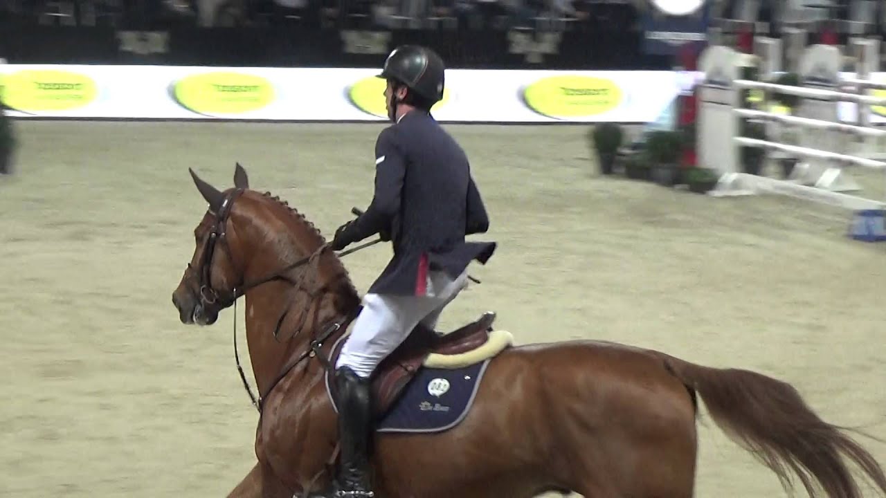 Emerald - Mechelen CSI5* Stallion Competition Round 1