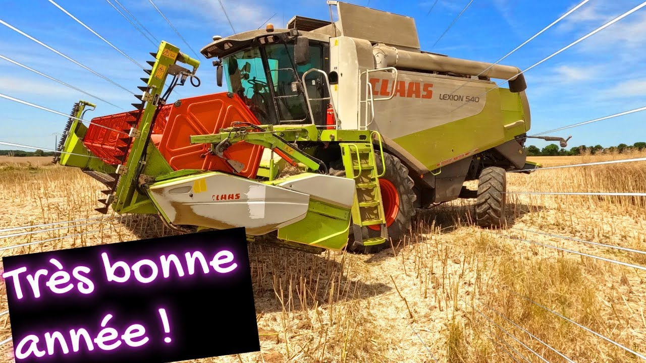 MOISSON 🚜 DES COLZAS - 2025
