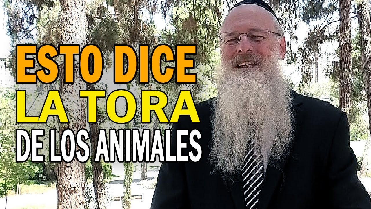 Esto dice la Tora de los Animales