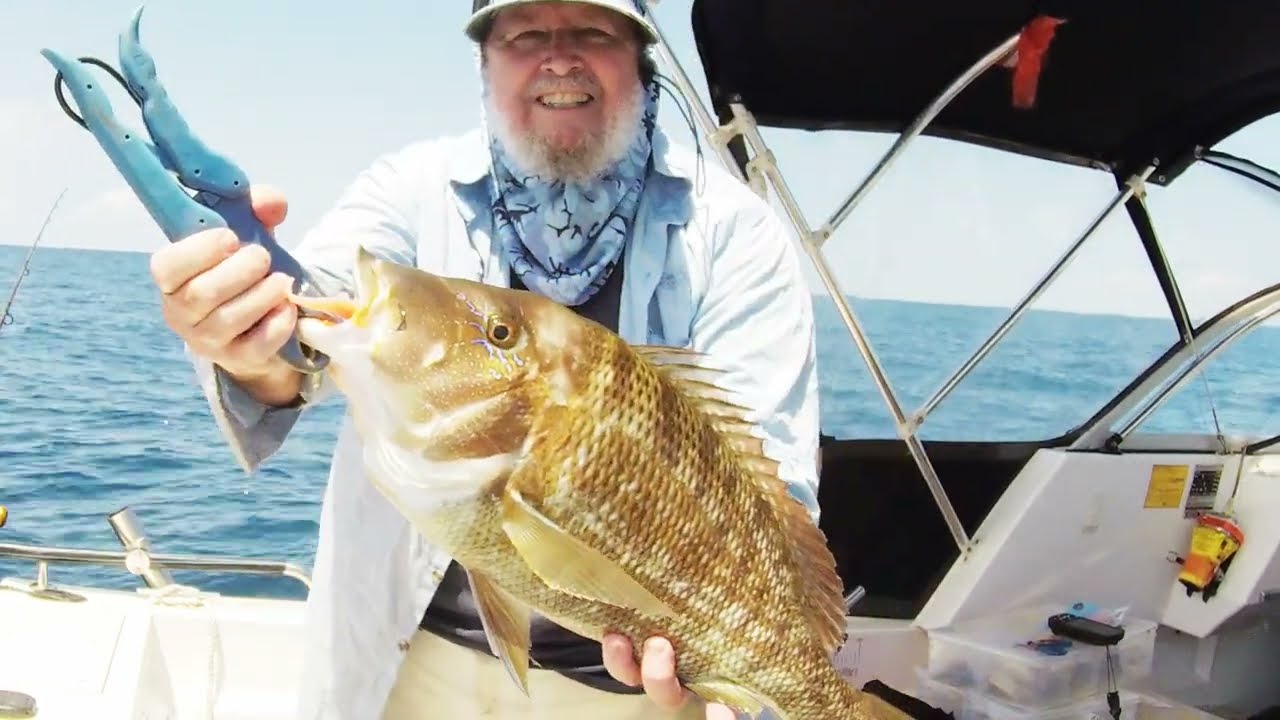 What's biting on inshore reefs Sunshine Coast 11 10 23. Can you catch fish in the middle of the day?