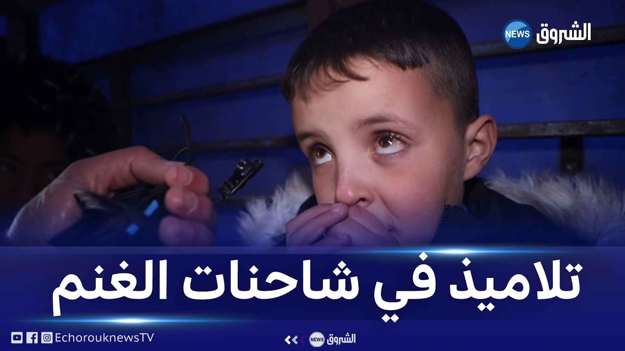 #الشروق_تحقق| تلاميذ يمشون إلى المدارس في برد غير محتمل 