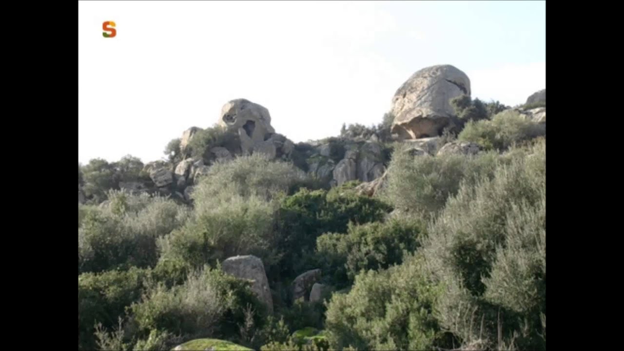 tenore orotelli muttos