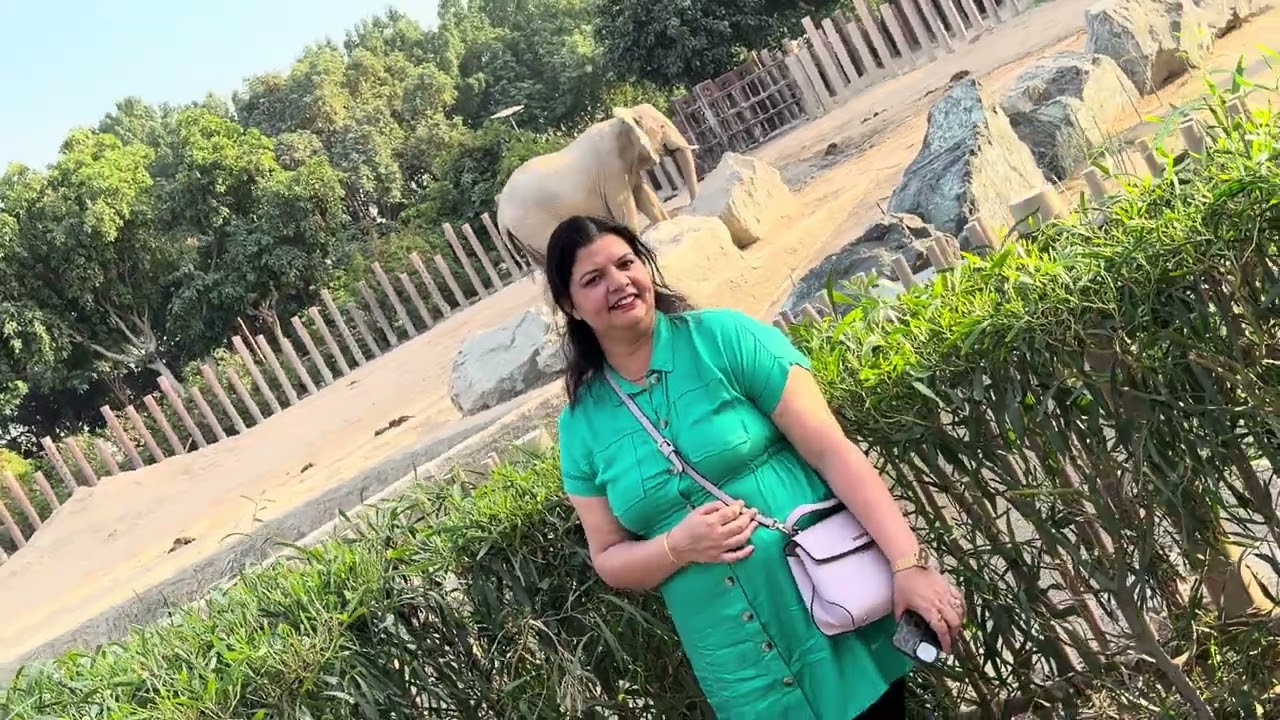 Dubai safari zoo