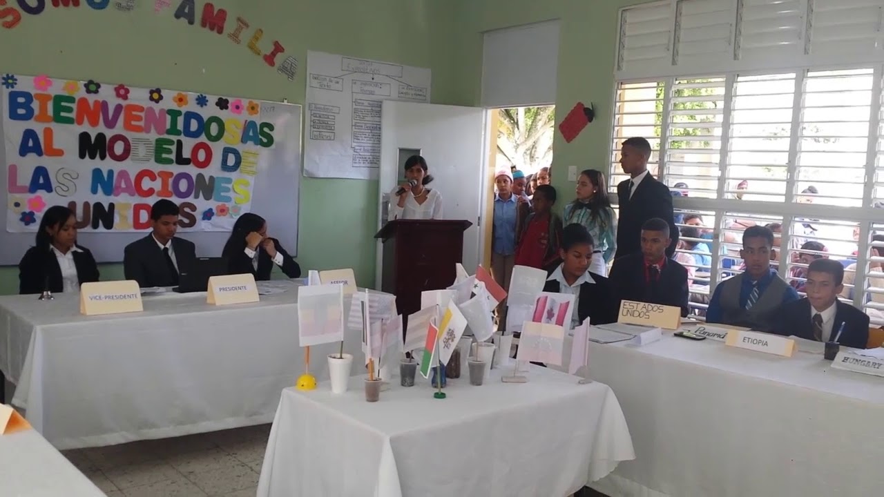 Modelo de la ONU 2017