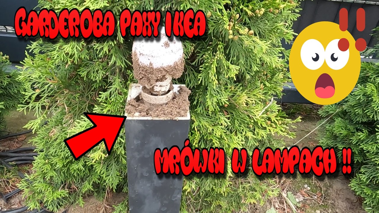 Garderoba Pax Ikea , Mr&oacute;wki w Lampach i Takie Tam Rob&oacute;tki Budowlane Home Koncept 58