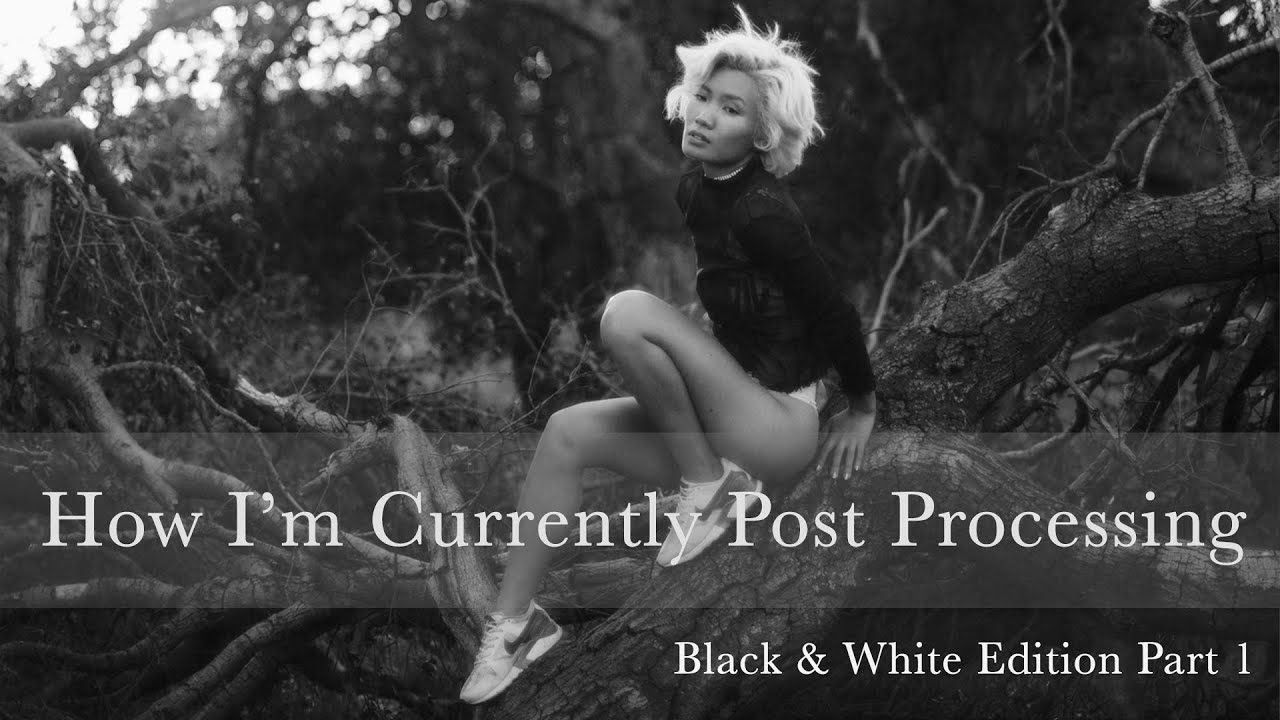 Как редактировать черно-белые фотографии с использованием кривых и базовой панели в Lightroom