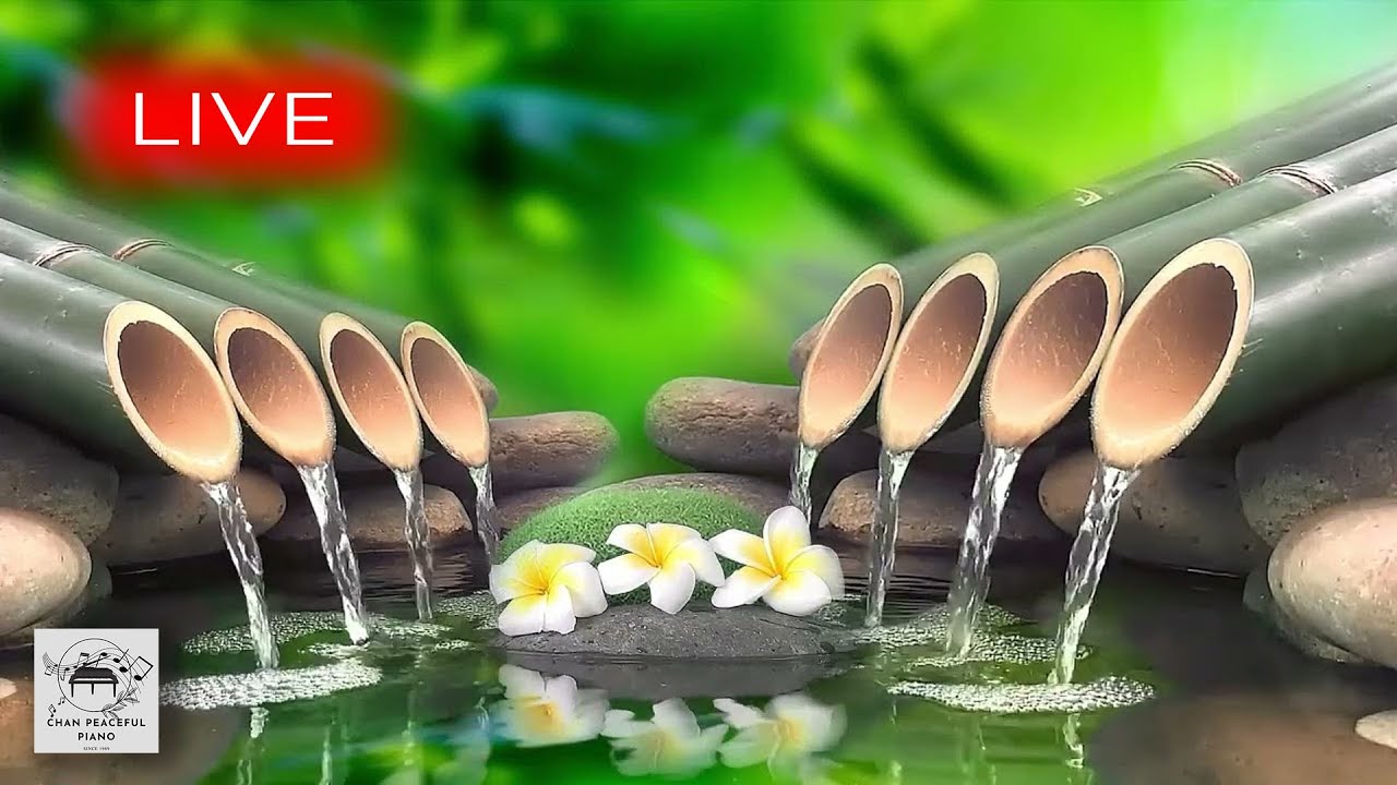 🔴 Relaxing Spa Music || Meditation, Sleep Music, Healing, Stress Relief, Yoga, Zen, Sleep, Waterfall