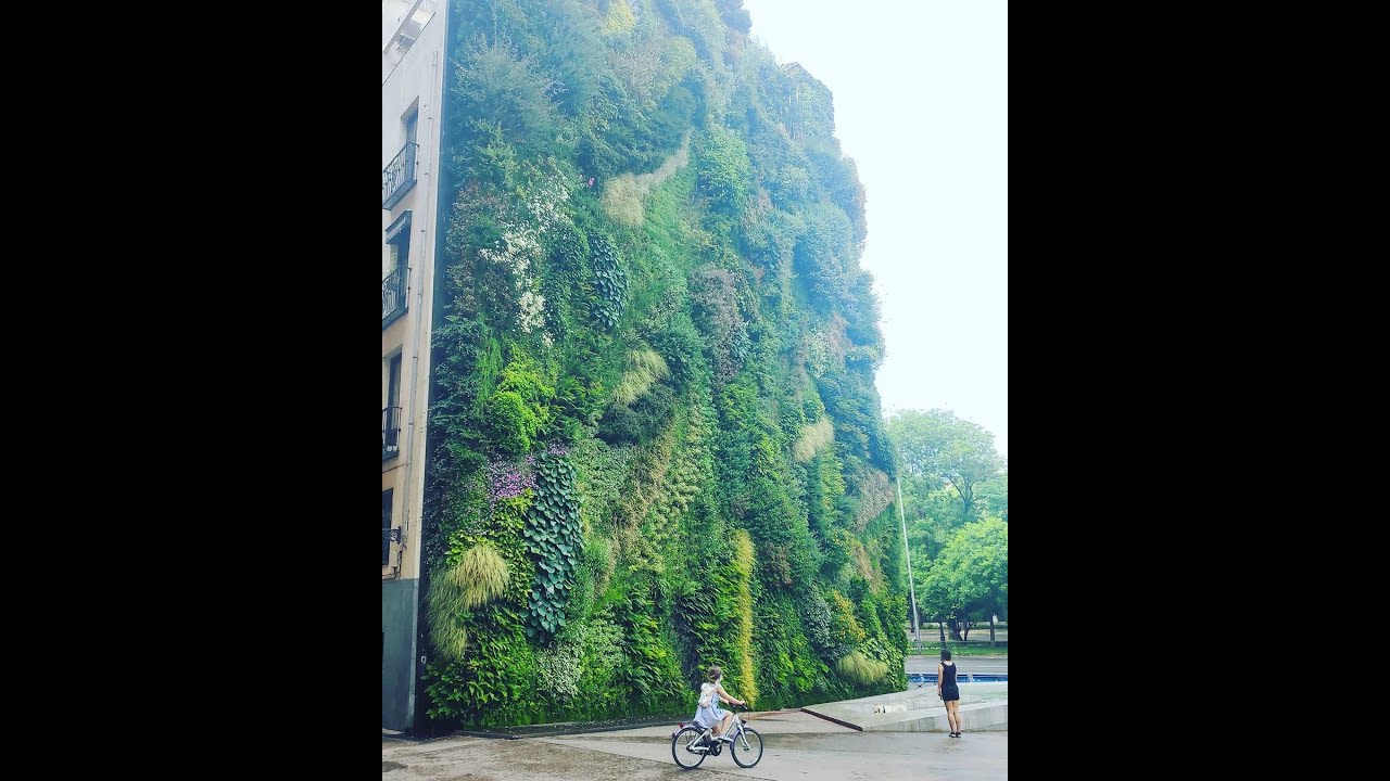 #verticharlas nº 5 charlando bajo el JARDÍN VERTICAL con mayúsculas con Ernesto García