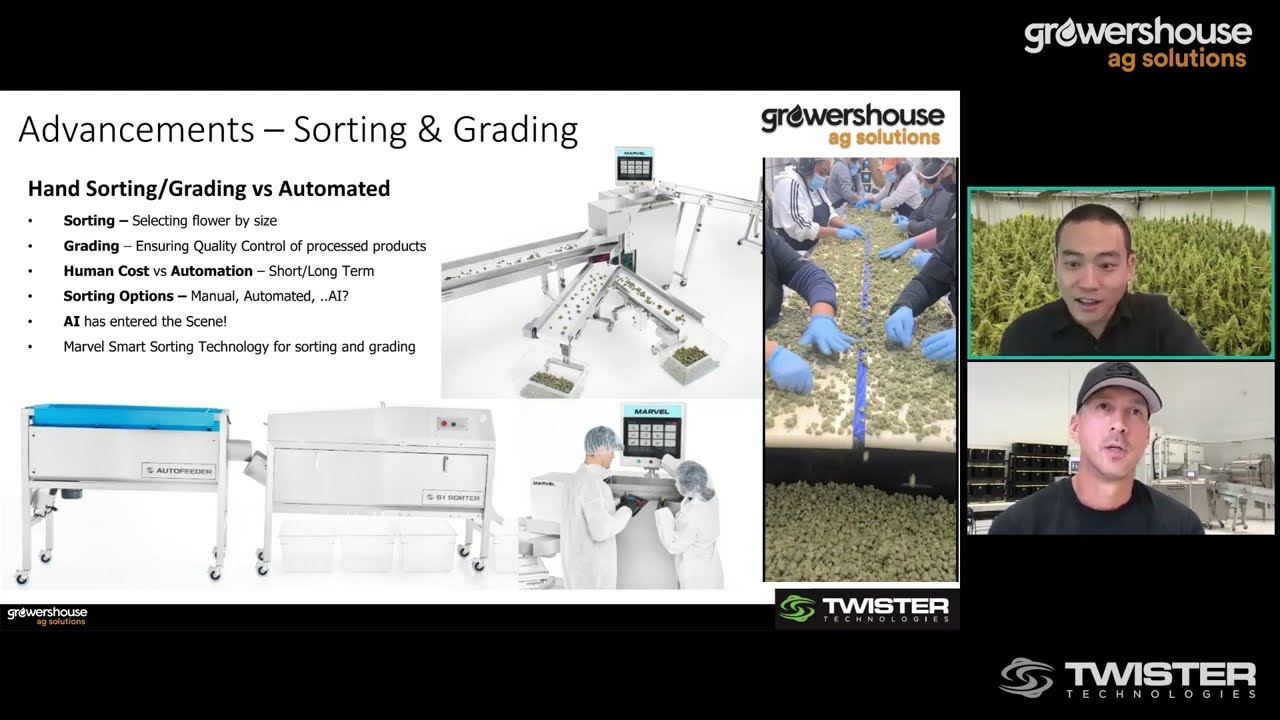 MARVEL: Advanced Cannabis Sorting and Grading
