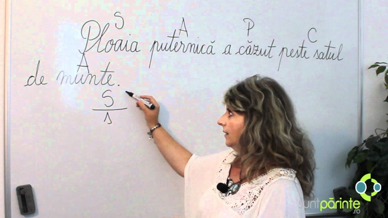 Schema liniara a unei propozitii- clasa a patra