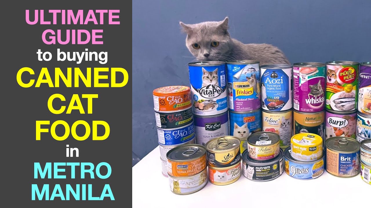 Ultimate Guide to buying CANNED CAT FOOD in Metro Manila