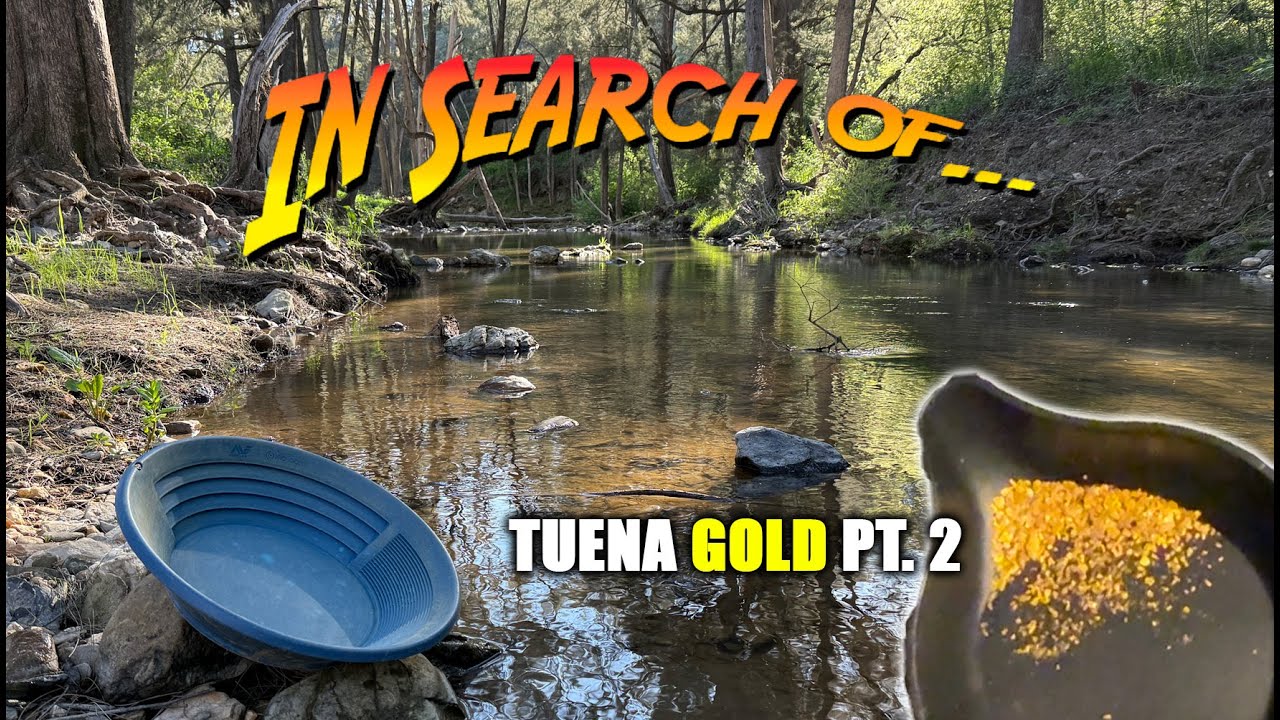 Fossicking Tuena (NSW) Gold 2