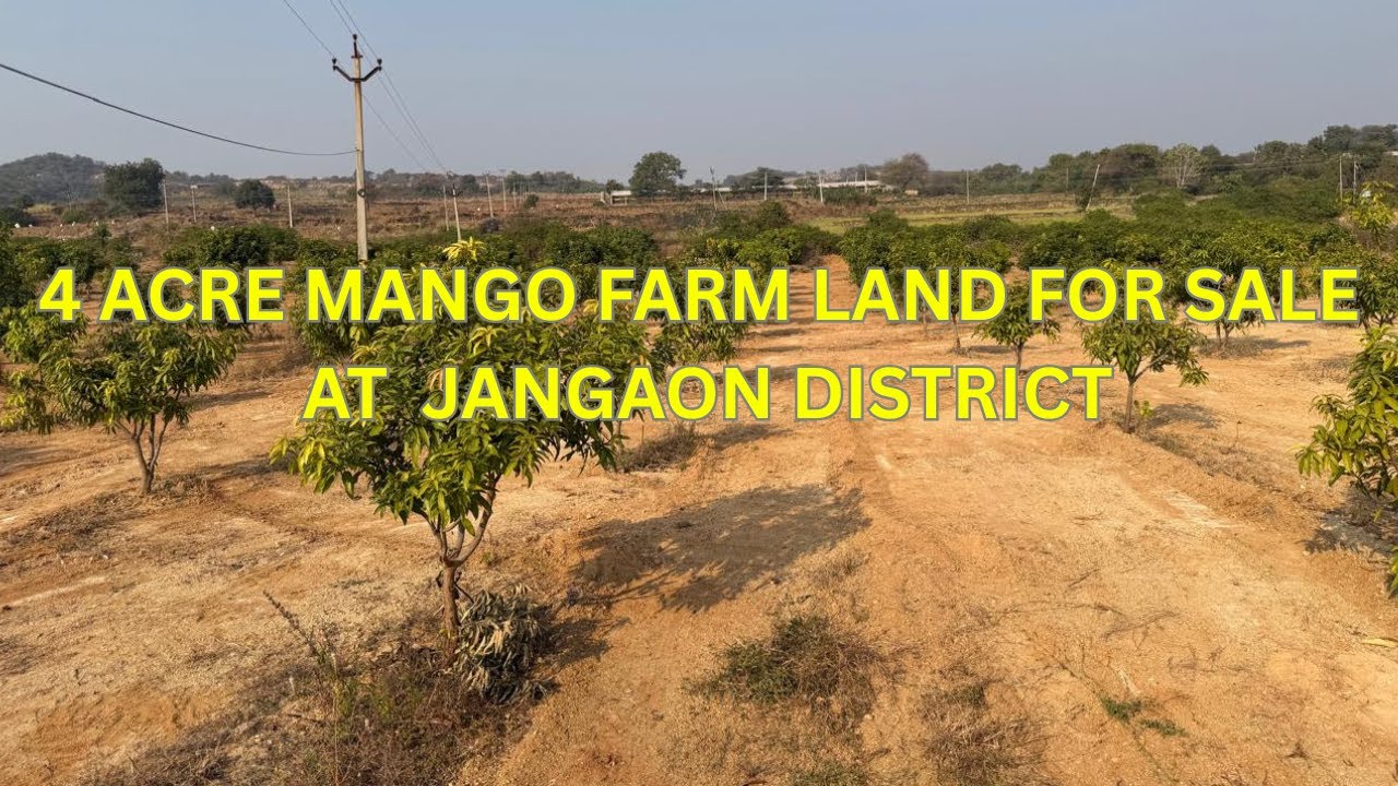 4 Acre Mango Farm Land for Sale Near Jangaon | Bore, Guest House | Best Investment | Near Hyderabad
