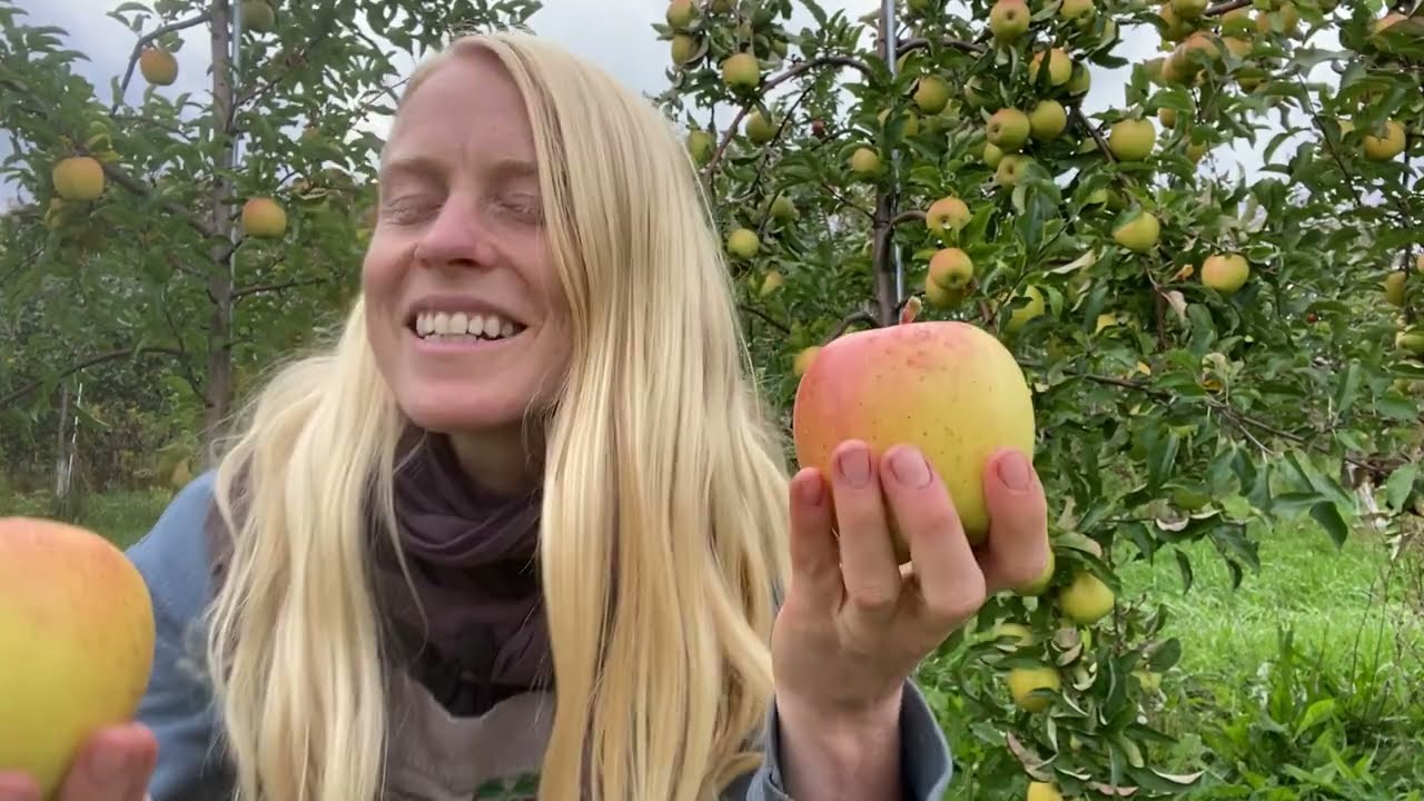 Why We Love Goldrush Apples