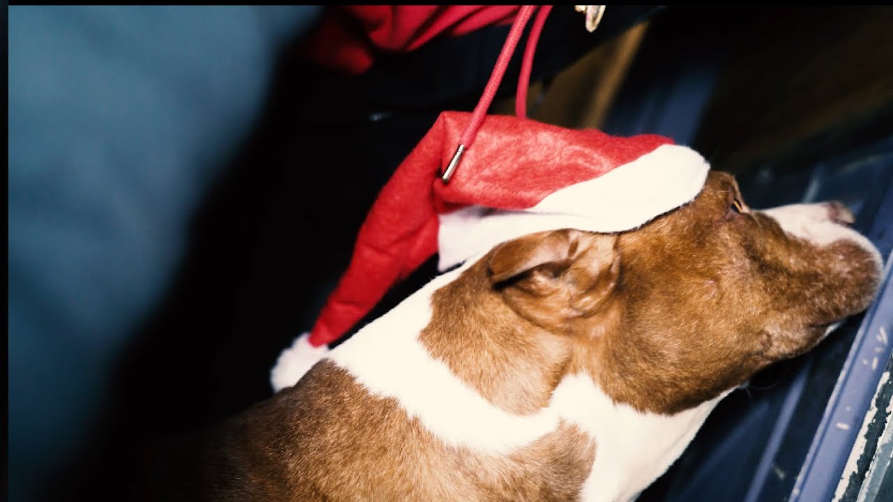 Last Christmas Remix ( Official Music Video)