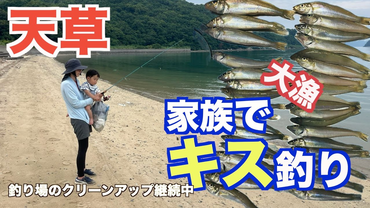【上天草キス釣り】家族でキス釣りしたら釣れすぎた＃ちょい投げキス釣り