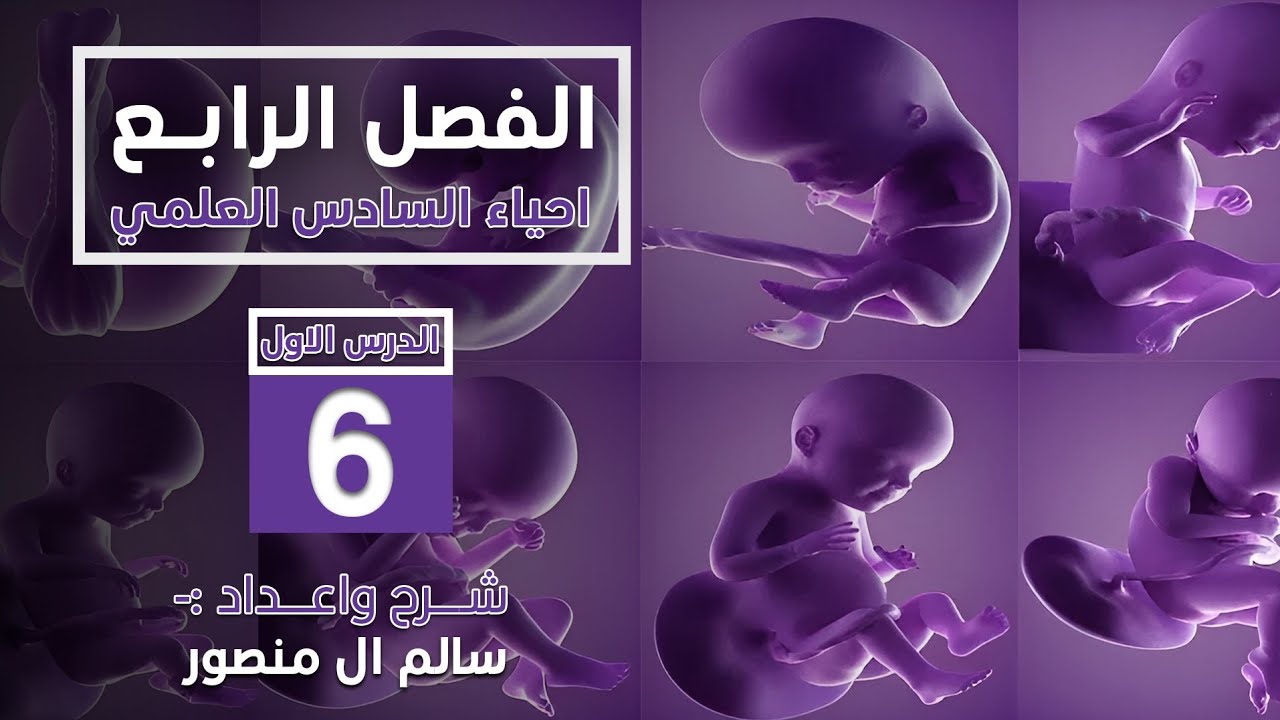 المحاضرة  (6) | أنواع التوائم.