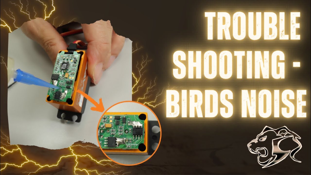 Trouble shooting - birds noise