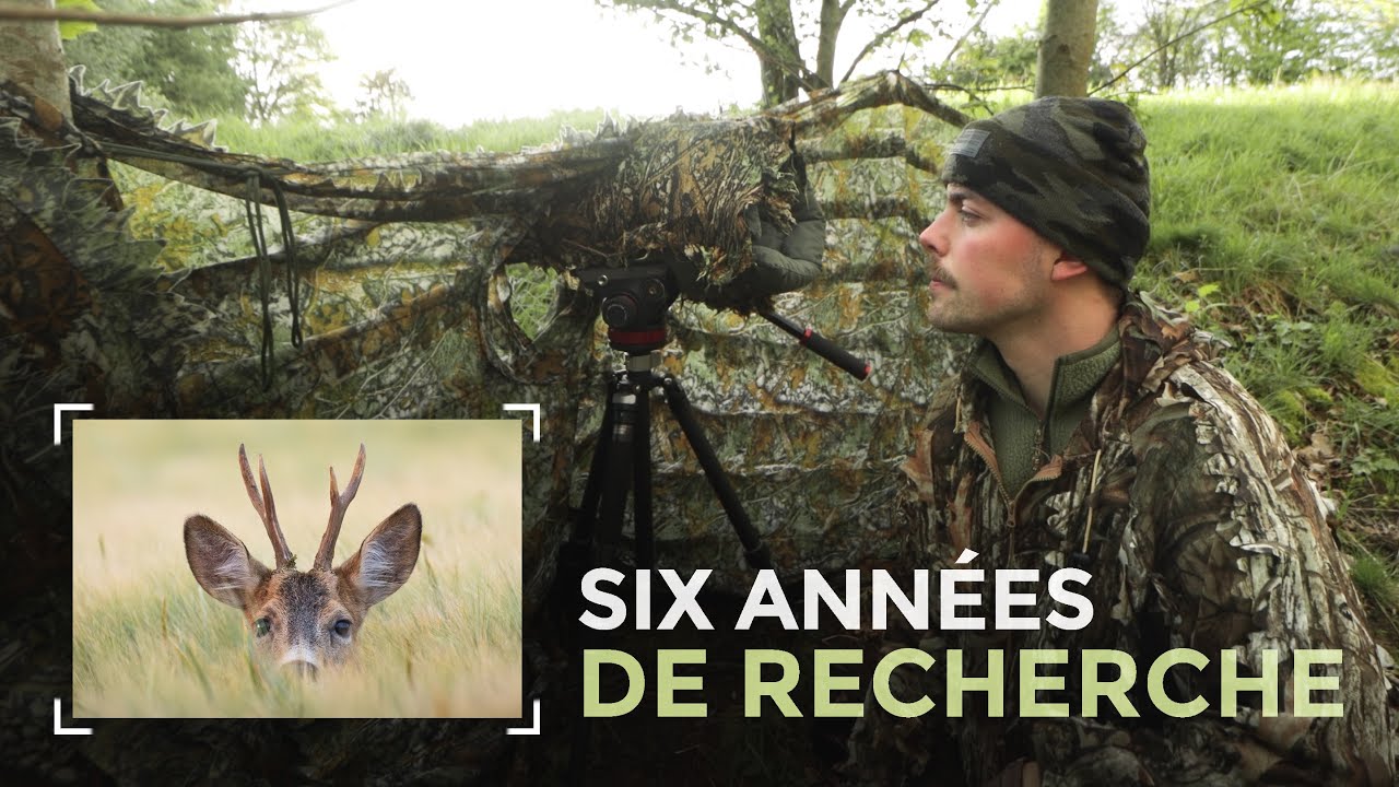 J'ai passé 6 ANS à la recherche de cette espèce (photo animalière)