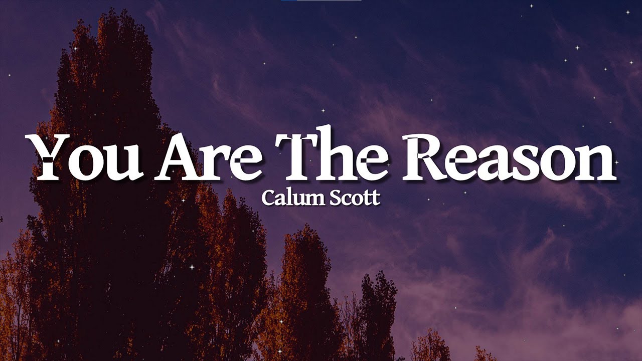 Calum Scott - You Are The Reason (Lyrics)