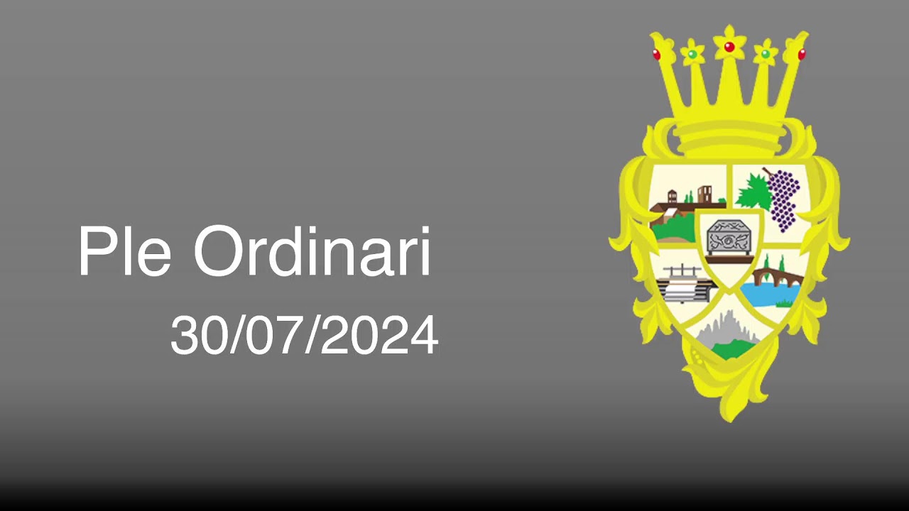 Ple Ordinari 30/07/2024