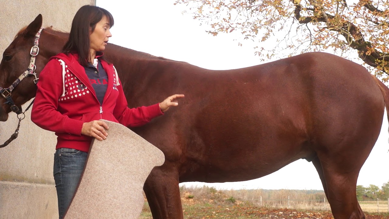 Bien choisir son tapis de selle western